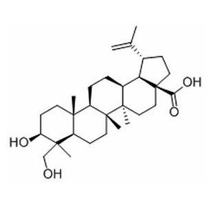 23-羟基白桦酸